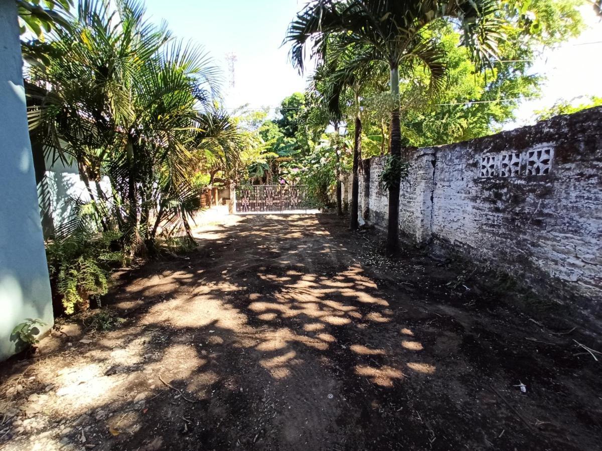 Ometepe House Bed & Breakfast Moyogalpa Exterior photo